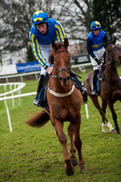 Betbright February Festival - 28th February 2015