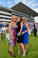 Unison Raceday photos - 1st August 2015