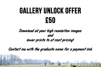 Gallery Unlock Offer