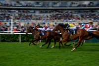 St Leger Festival 2018