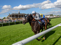 St. Leger 2016 -Wednesday to Friday